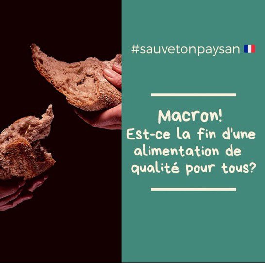 usaa_02's tweet photo. ‼️En amont de la mobilisation à Paris le 8/2, coup d’envoi à @a_saint_quentin‼️
⛔️pas d’interdiction sans solution⛔️

@PascaleGruny02 @JulienDive @ecvass02 @JYBricout @BruCardot @FnseaGBP @cgb_htsdefrance @FNSEA @CGB_FR https://t.co/nTv9EB3eOo