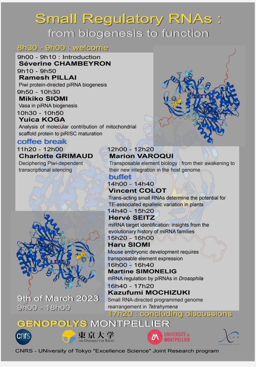 Save the Date ! Minisymposium at <a href="/genopolys/">Genopolys</a>, <a href="/IGH_MTP/">InstituteHumGenetics</a> March 9th.
#TransposableElement #SmallRNA.