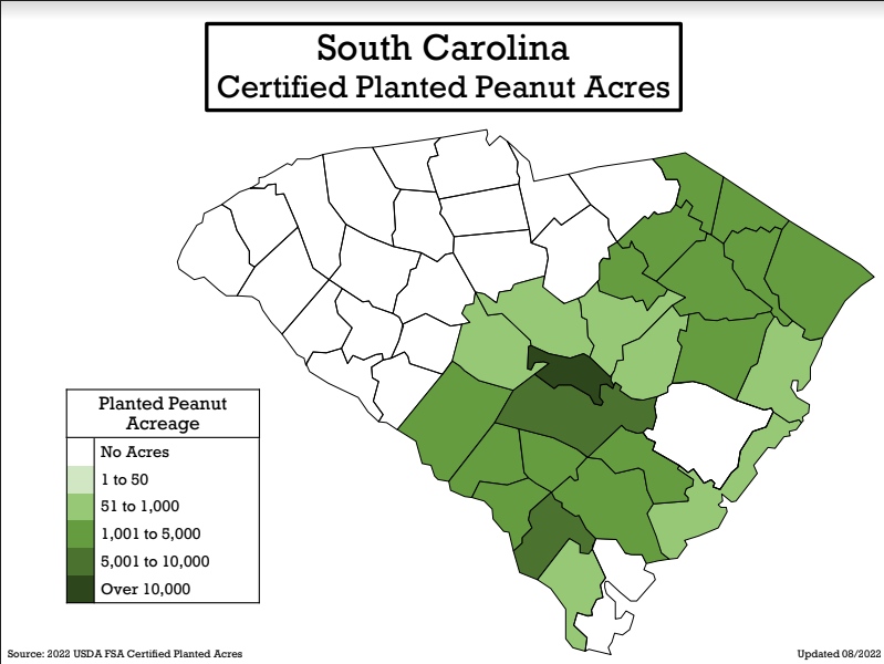 Ever wonder where exactly peanuts are grown in the #VirginiaCarolinas? 🤔

About 13% of all #peanuts grown in the USA, come from our region. Take a look at the certified planted peanut acres across VA, NC and SC! 🥜

Source: @usdagov

#VirginiaCarolinasPeanutsPromotions