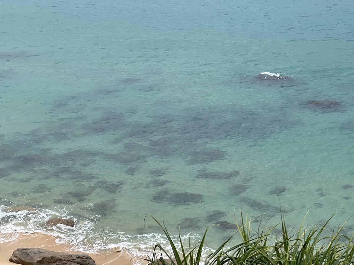 riverhunter0623's tweet photo. 奔山赴海
相看泪眼
Free
@ S M BAY https://t.co/WjRhMahHXa