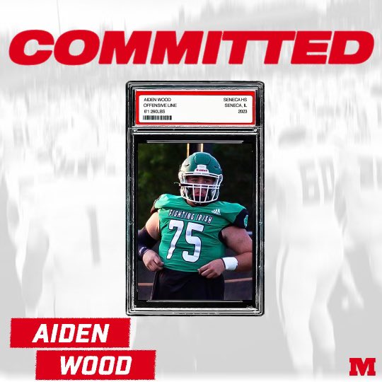 Aiden Wood tweet media