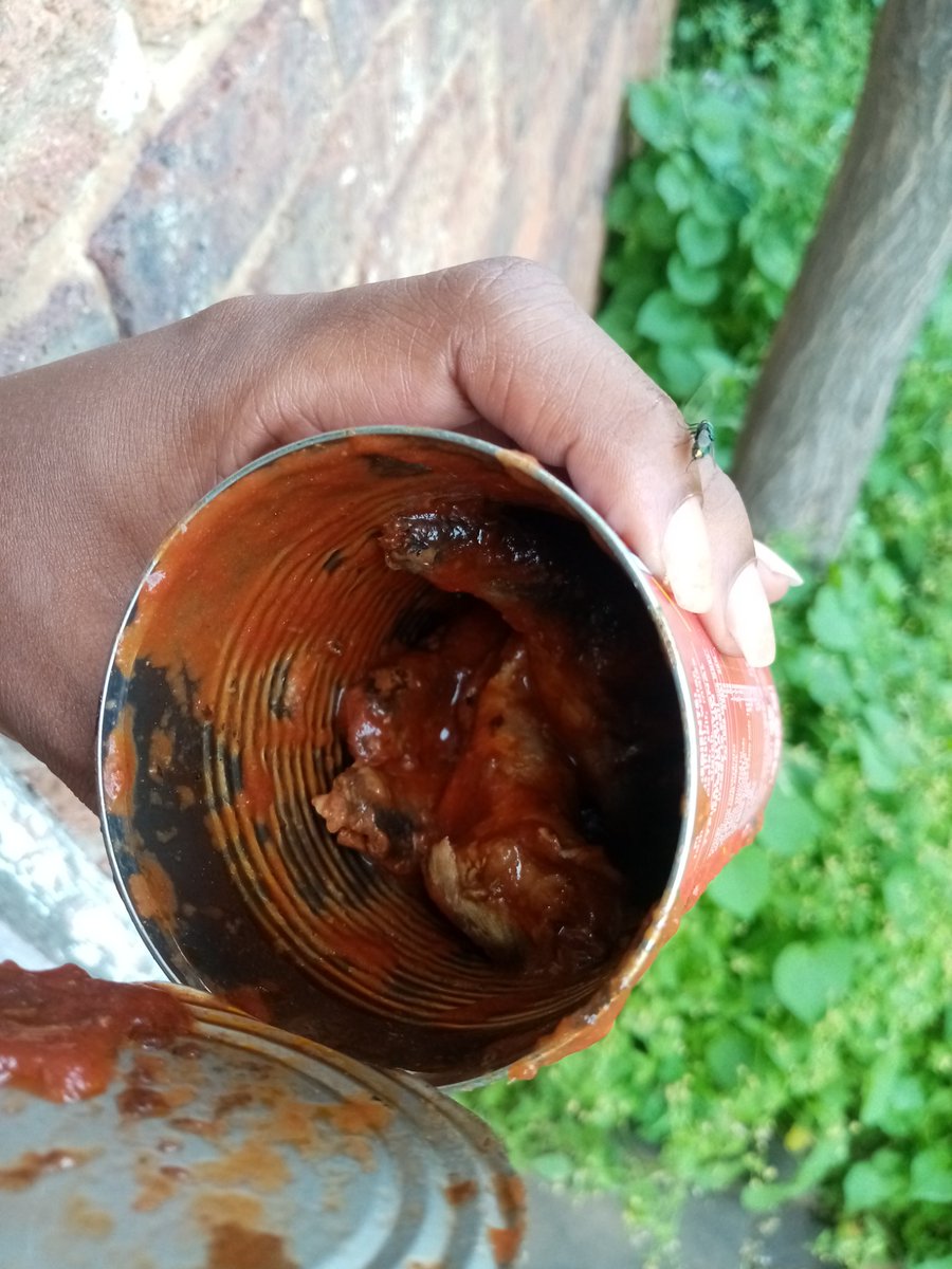 Paulz_88's tweet photo. @LuckyStarSA opened a can today and after removing the sauce, found 4 small fish. Not even a finger size. Def not 410g. You can't rip ppl off like this, not in this economy!! https://t.co/soq3Z7TwPT