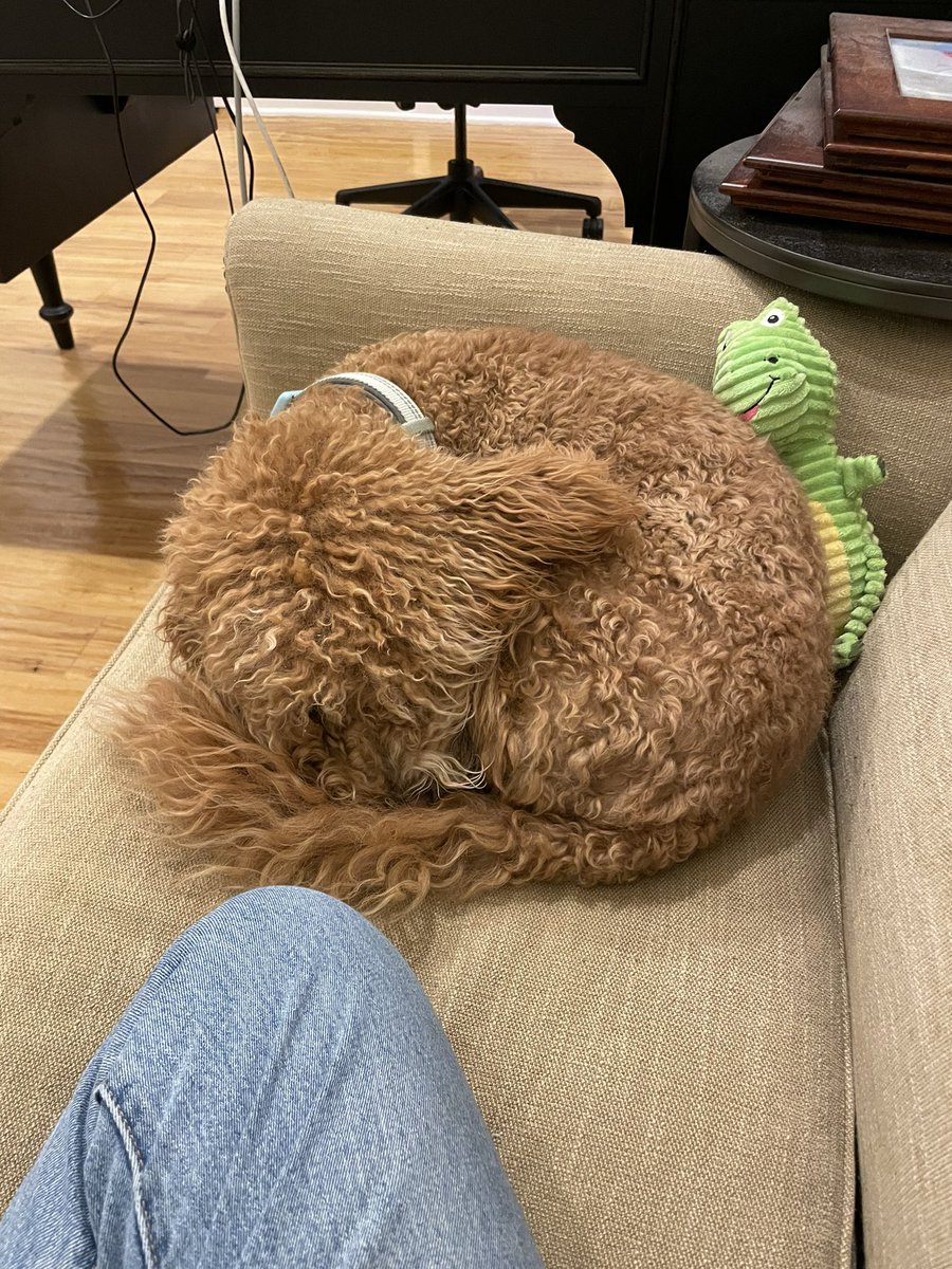 Semicondogter's tweet photo. https://t.co/KIkMQisPNZ