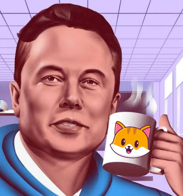 CateCoin tweet media