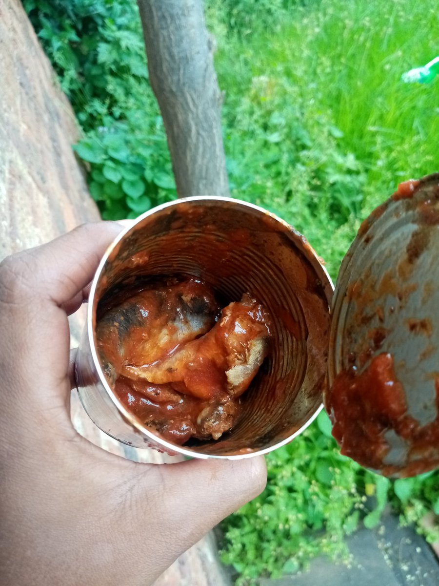 Paulz_88's tweet photo. @LuckyStarSA pity my kitchen scale is broken but it wasn't even half a tin of actual fish... It was majority sauce. No ways @LuckyStarSA https://t.co/67vgjdSmm2