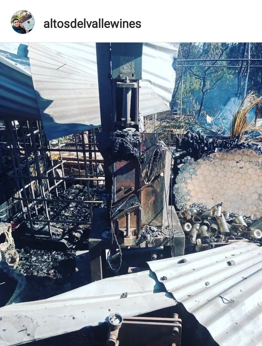 reinaentrecopas's tweet photo. Los viñedos y bodegas de Itata arden. Ver los sueños hechos cenizas, nos dicen los chicos de  @ItataExpediciones duele demasiado. Duele que les cueste tanto todo:  Reconstruir bodegas, recuperar viñedos centenarios, hacer 🍷 a pulso, salir a venderlos. No los dejemos solos.💜🇨🇱 https://t.co/U8YwPF0Y8D