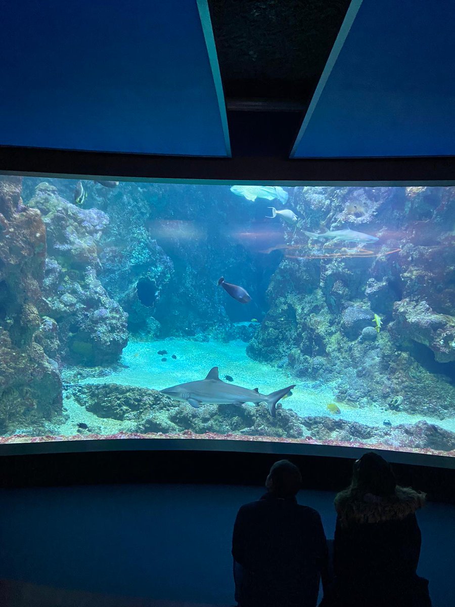 lebaledo's tweet image. Objectif odd J2 @Oceanopolis_ 
L&apos;équipe du lycée Jean Moulin Châteaulin représentant la Grèce et l&apos;Italie pour débattre de l&apos;odd 10 hopefully in English 💚
@edd_acrennes #odd10 #odd16