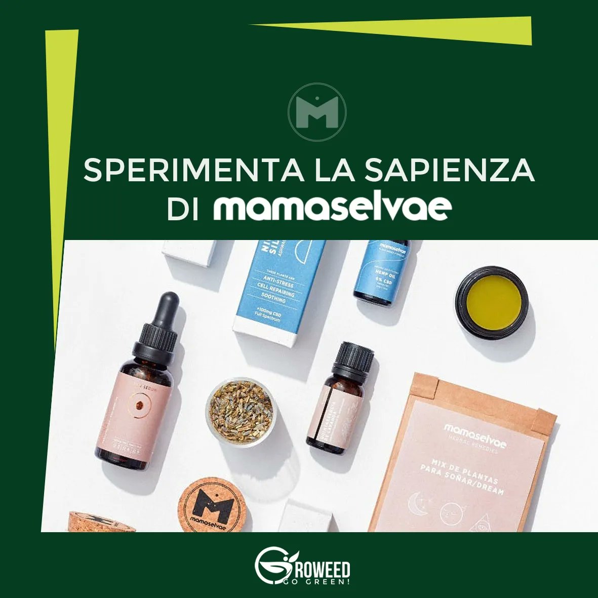 Groweed_it's tweet photo. 😋 Sì, anche tu hai il Sistema Endogeno Cannabinoide, all'interno del tuo corpo, e (forse) non lo sai!
🗨️ Leggi l'articolo completo su https://t.co/IhKo6Y6PgE 🗞️
🙏 Usa il codice GROWEED su https://t.co/WkTYfwjiVn e riceverai il 10% di sconto per ogni acquisto.
🍀
#Groweed https://t.co/3sWmbdcwwJ