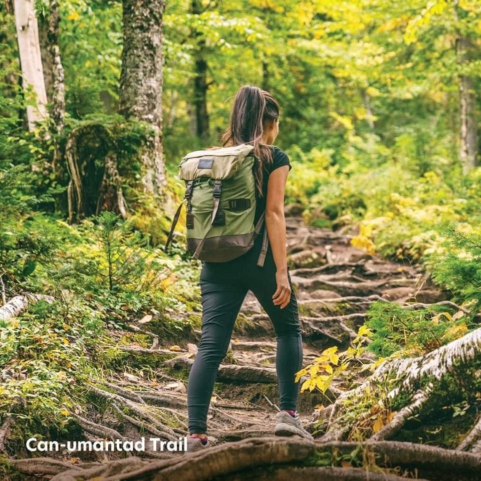 Waanderventure's tweet image. Explore and experience the wonders of #Bohol ⛰️ ⛰️ ⁣⁣
⁣⁣
Check out these hiking sites the next time you #FlyAirAsia to the Jewel of the Philippines - BOHOL!⁣⁣

⁣⁣#BookNowFlyLater #WCATravelAndTours #TravelAdventure #Wanderland #