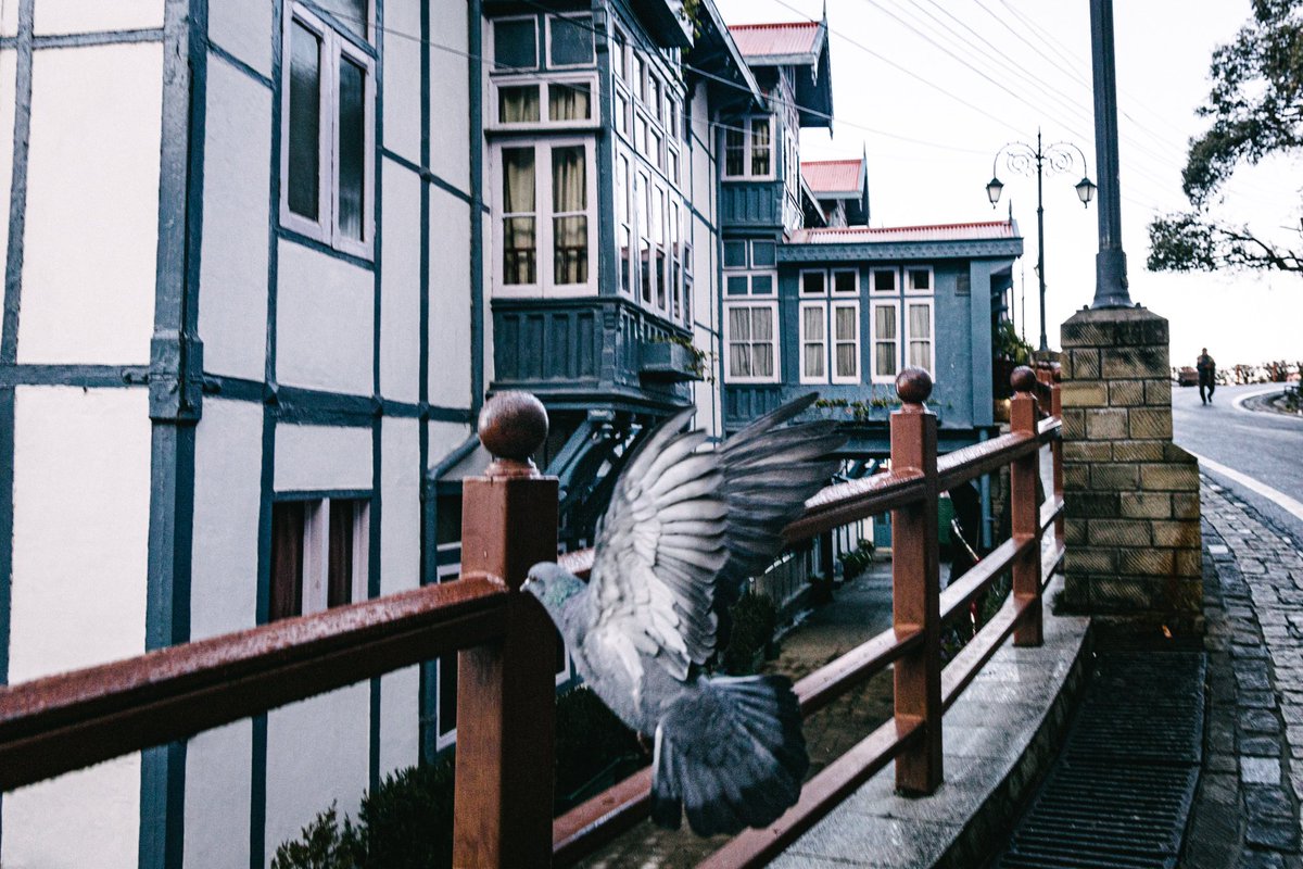 notrijulgupta's tweet photo. Spray and Pray
📍Outside Hotel Clarke's, Shimla
.
.
#shimla #clarkes #HimachalPradesh #canon #himachal https://t.co/e7P91v9Si8