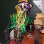 Photo by Iron Hand Brewing (@IronHandBrewing)