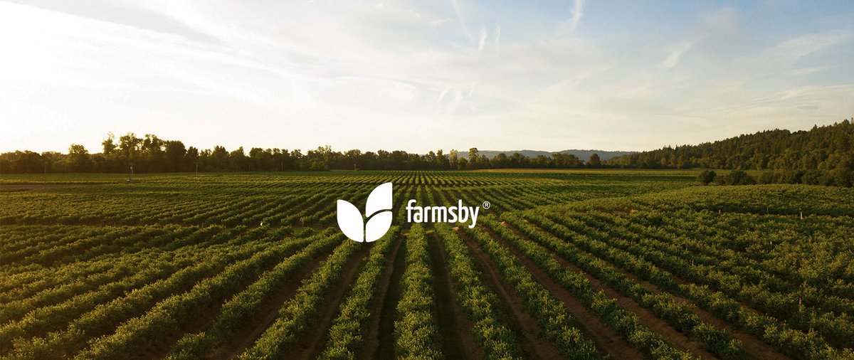 Nicolas_Done's tweet photo. I rebranded @FarmsbyHQ's visual identity.
Check out the full project here 👇
https://t.co/OeM5NBYsZF

Please share your thoughts ✨
A retweet would be divine! 💙 https://t.co/CnrCOnXft7