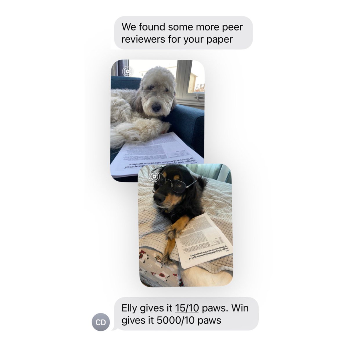 Miranda Yu tweet media