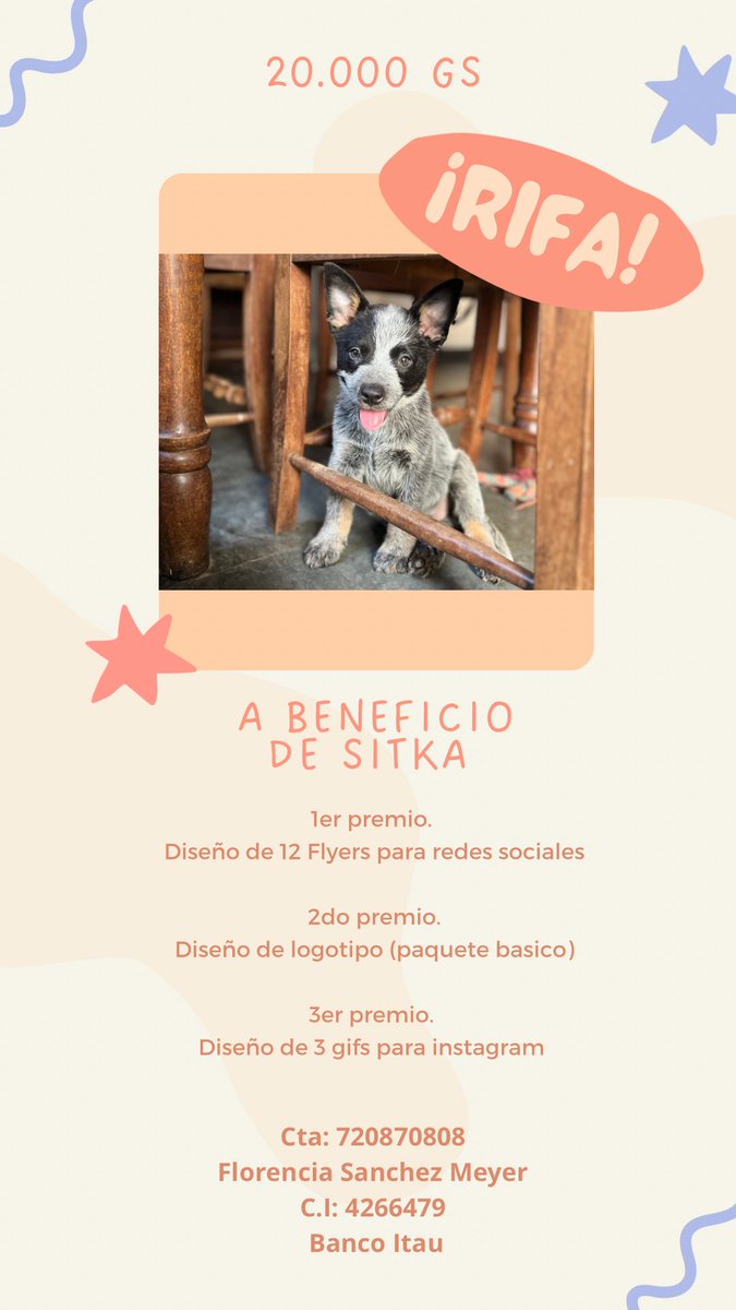 flosanchezmeyer's tweet photo. Estoy haciendo una rifa para poder costear su tratamiento y que muy pronto pueda volver a casa. 🤍 Si no está dentro de tus posibilidades aportar, un RT, tu energía positiva, y tus oraciones son de gran ayuda! GRACIAS! 🤍 https://t.co/tIWzIg565r