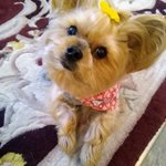 Photo by Cooper's mommy Christi (@bchristilynn)