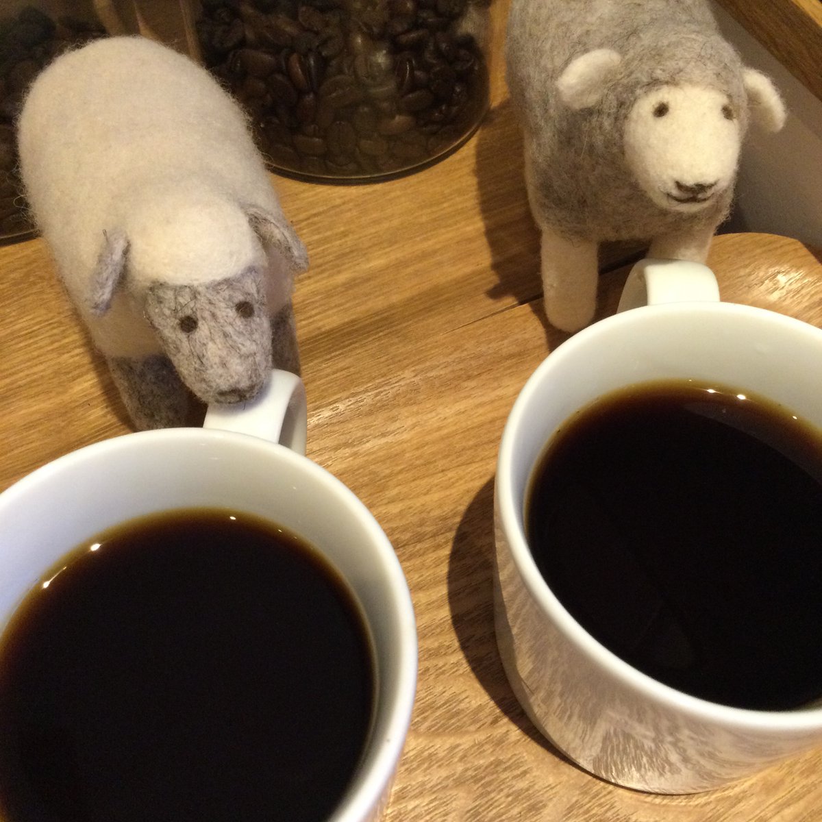 立春ですね♪
春ですね♪
(寒いですけど🤣)

そんな訳でsweetブレンド始めます♬

この季節と言えば、やっぱりチョコレート。
チョコに合うように、しっかりした味わいにしつつ
今年は香ばしさも足してみました。
そして名前の通り甘さもあります。
ぜひ✨☕️✨

#coffee 
#sweetブレンド　
#自家焙煎