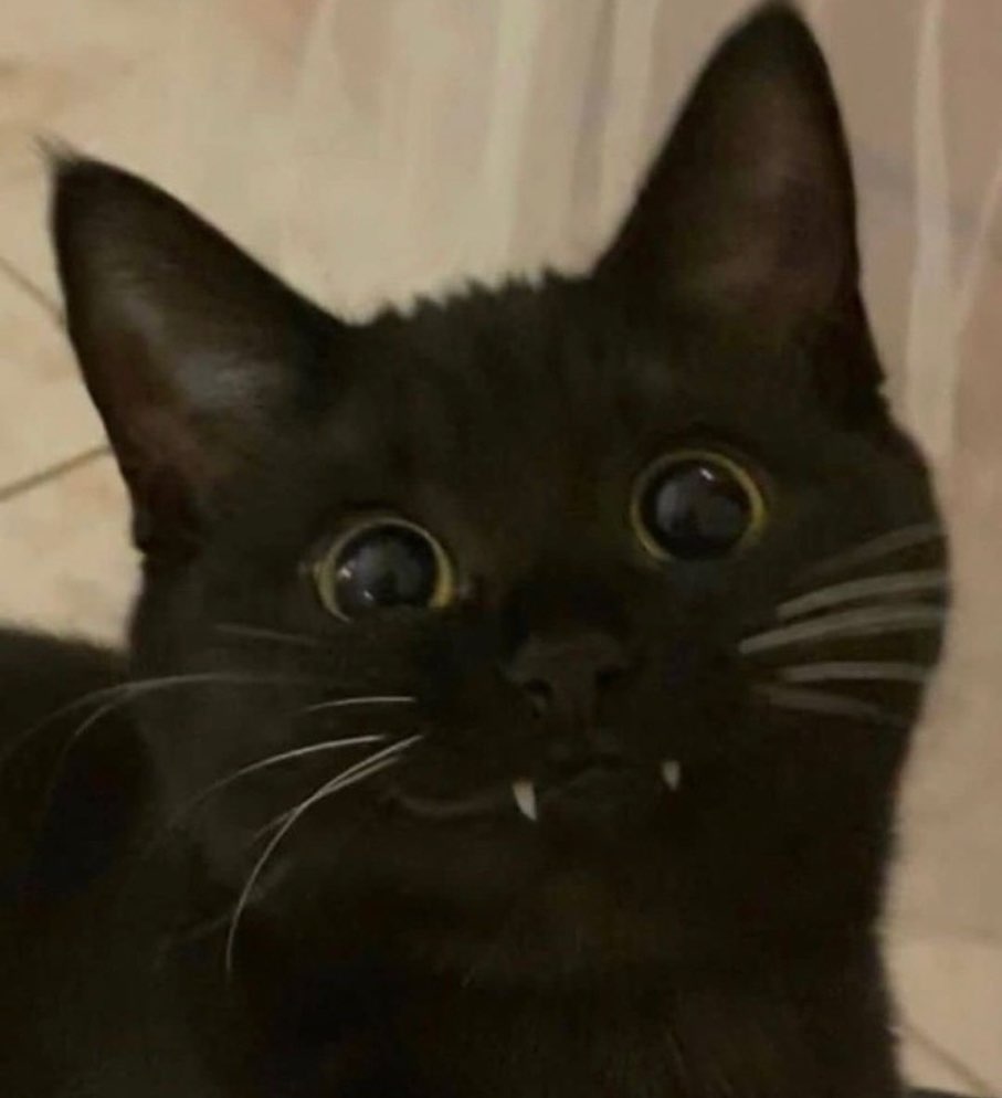 nostalgiaa's tweet image. 