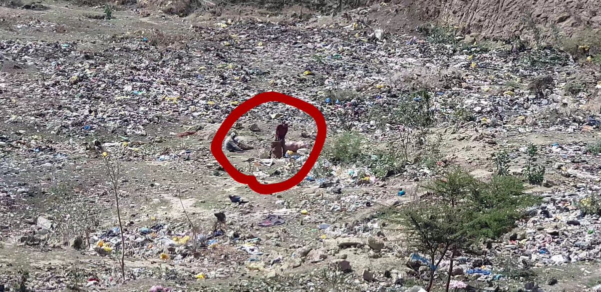 OromiaclimateJM's tweet image. Observation; at Mojo city , we are able to see the realities that are happening and destroying us !!
Photo speakes !!
#Thinkclean #ClimateJustice
#savetheplanet #Thinkgreen