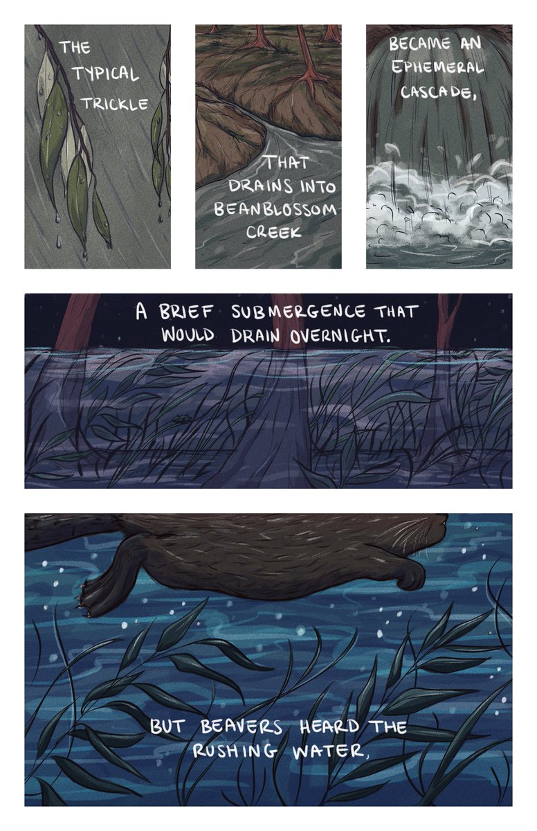 Ellen Bergan tweet media