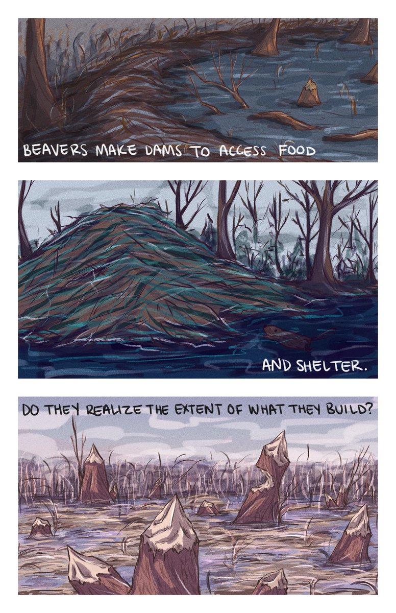 Ellen Bergan tweet media