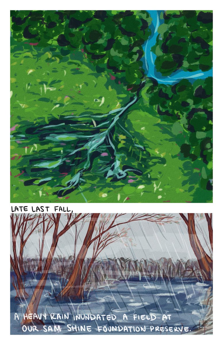 Ellen Bergan tweet media