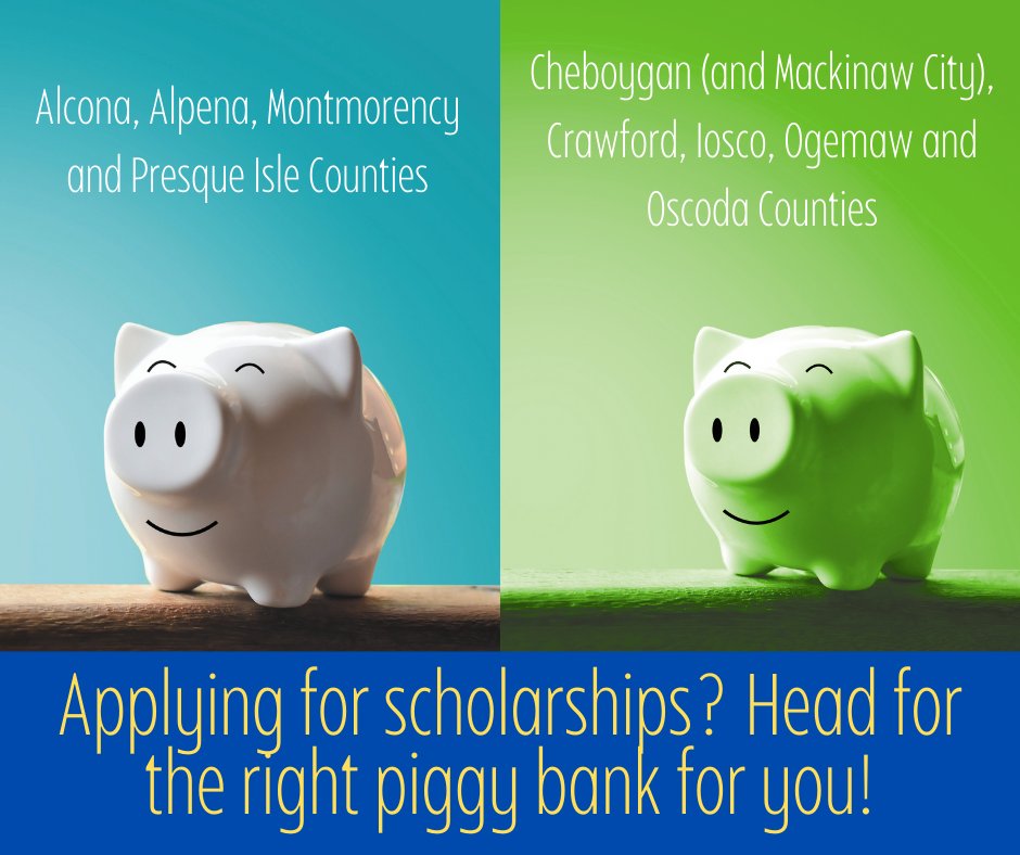 CF for Northeast MI tweet media