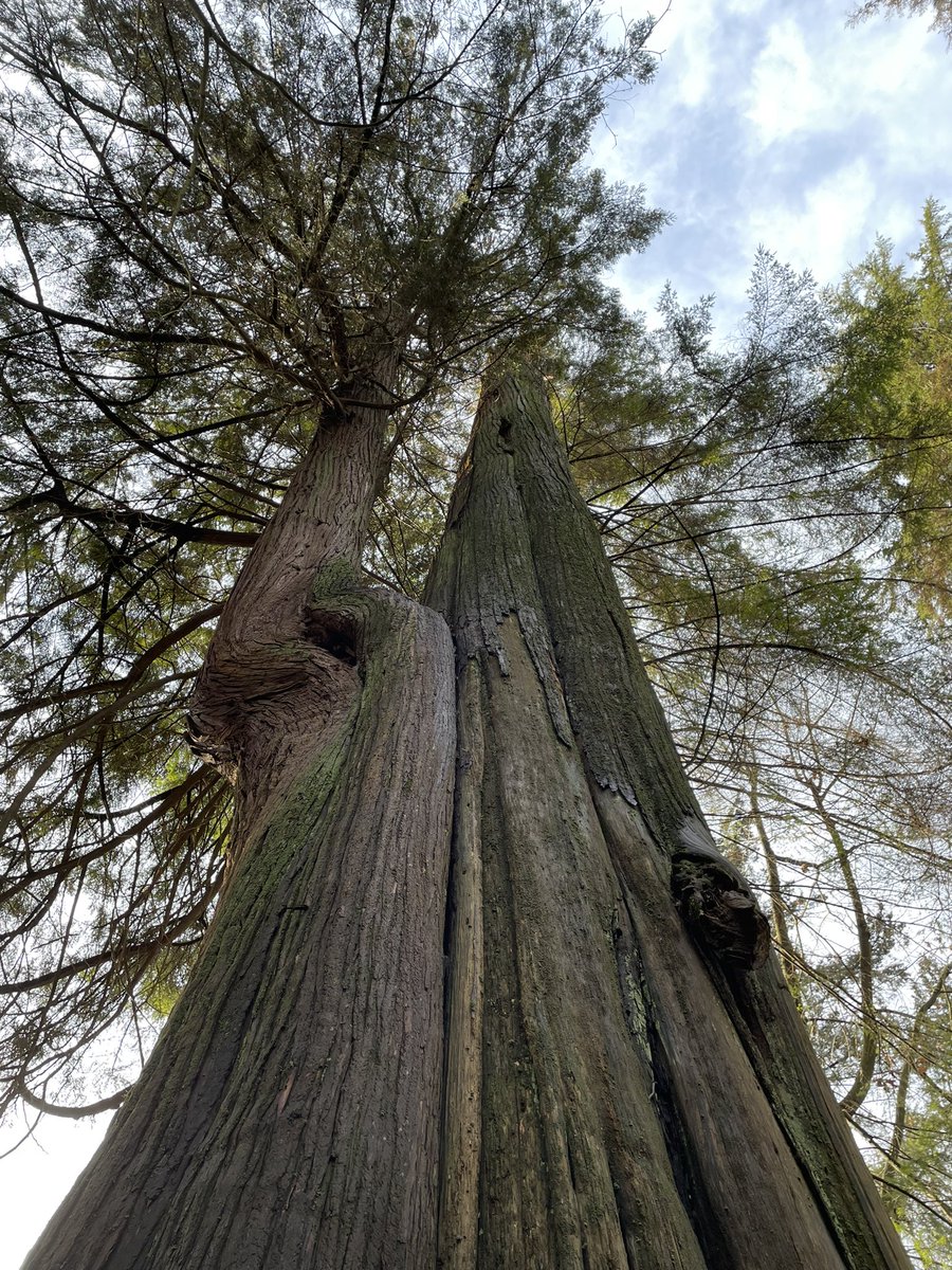 Lauren Wenzel tweet media