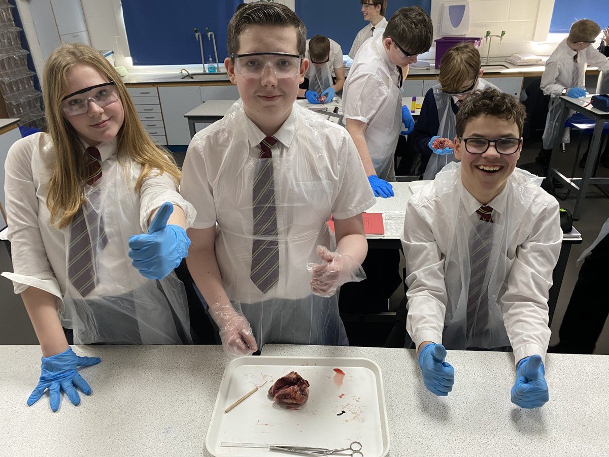 PATKingsSchool's tweet photo. β₯οΈ Year 9 have enjoyed their heart dissection lesson! β₯οΈ
#science #handsonlearning #practicallesson #ThisIsKings https://t.co/hnrSLwyvPE