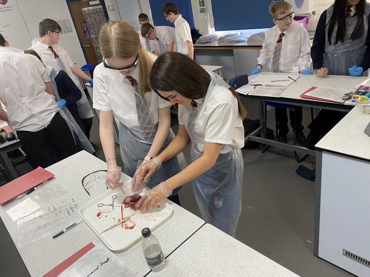 PATKingsSchool's tweet photo. β₯οΈ Year 9 have enjoyed their heart dissection lesson! β₯οΈ
#science #handsonlearning #practicallesson #ThisIsKings https://t.co/hnrSLwyvPE
