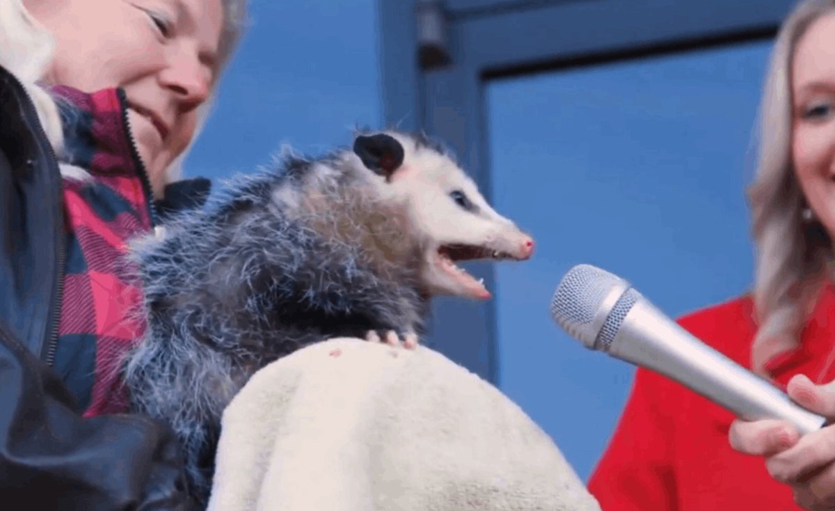 Nuclear power is a clean, reliable and efficient source of energy that produces virtually no greenhouse gas emissions