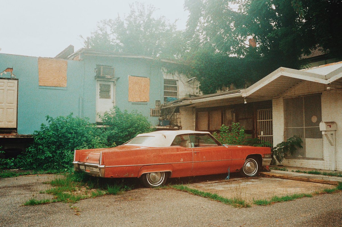 Kelsey Smith 💛🎞️ tweet media