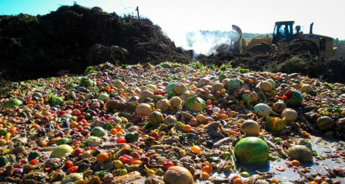 samdknowlton's tweet photo. 1.6 billion tons of food go to waste each year, equal to ⅓ of all the food produced globally.

30% of the waste could be saved by better refrigeration – enough to feed 950 million people annually

This is a simple solution overlooked in conversations about feeding the world. https://t.co/7SLt4mW8ZJ