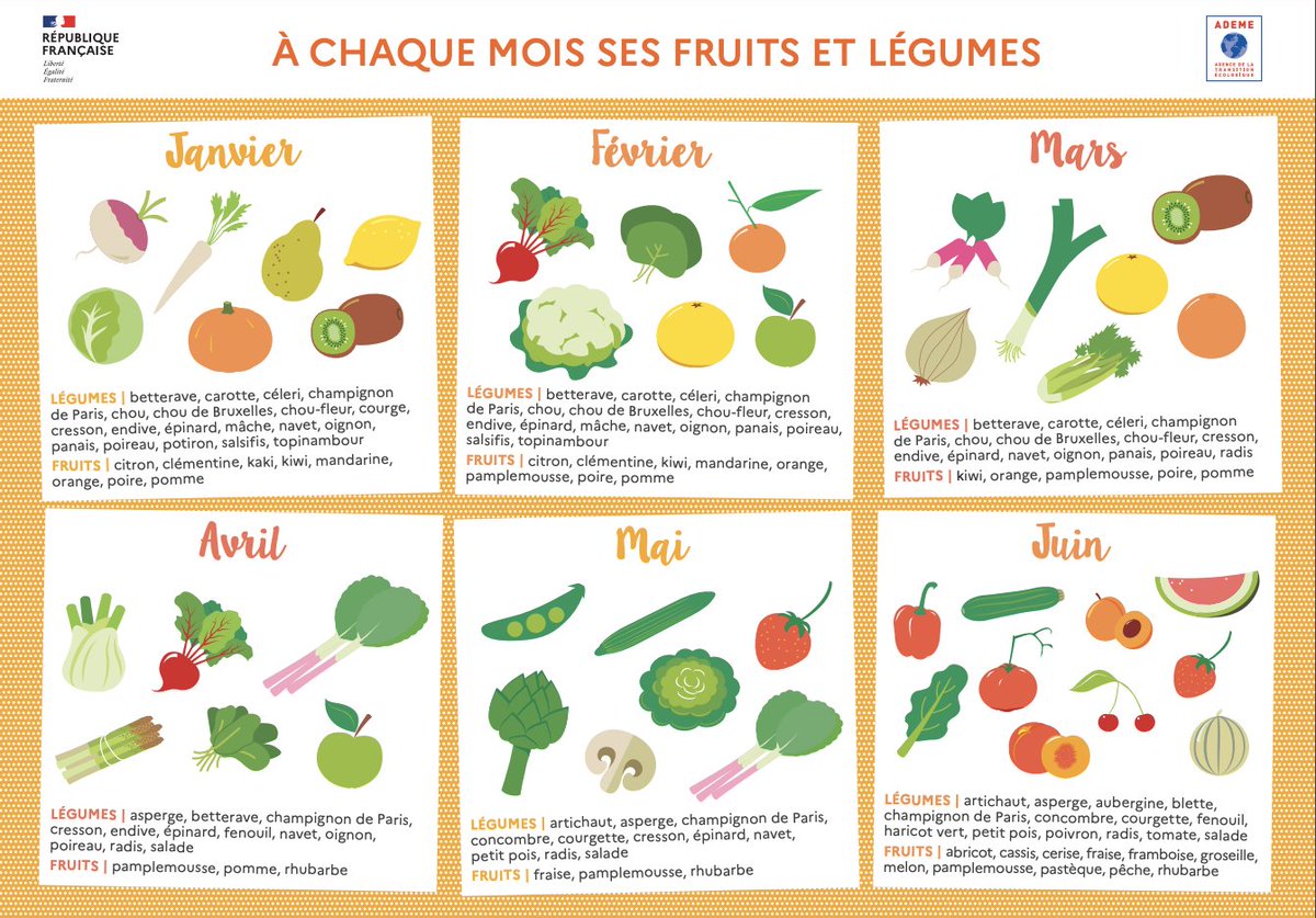ademe's tweet image. [#ConsoResponsable]
Champignons, choux, poireaux, poires et mandarines… 🍊
Découvrez les fruits et légumes à consommer ce mois-ci avec le calendrier de l’@ademe !
Réduisez l’#EmpreinteCarbone de votre alimentation 👉librairie.ademe.fr/cadic/7331/cal…