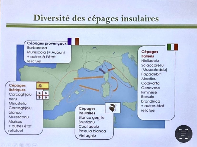 mursaglia's tweet photo. @mathieumarfisi @lastringent_ Cher Romain, si cette publication du CRVI peut éclairer ce que vous considérez comme une aberration. Notez que ces cépages, passionnants, n’ont pas d’histoire partagée avec notre belle appellation. Changer notre encépagement, c’est changer notre histoire. https://t.co/5nE5BBRVQj