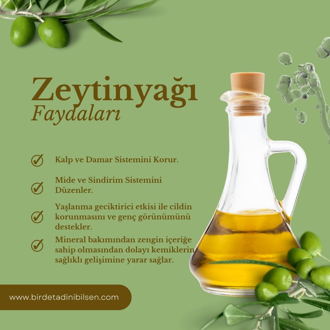 brdtdnblsn's tweet photo. 🌿Zeytinyağı 🌿
📌Türkiye’mizin güzel bölgelerinden kaliteli gıda mağazalarımızın yöresel, doğal, organik ve gurme ürün çeşitlerini profilimizdeki linke  tıklayarak hemen ziyaret edin❗
📞 İletişim : 0850 346 18 34

#zeytinyağı  #organikzeytinyağı #naturelsızmazeytinyağı https://t.co/liq20YB3i4