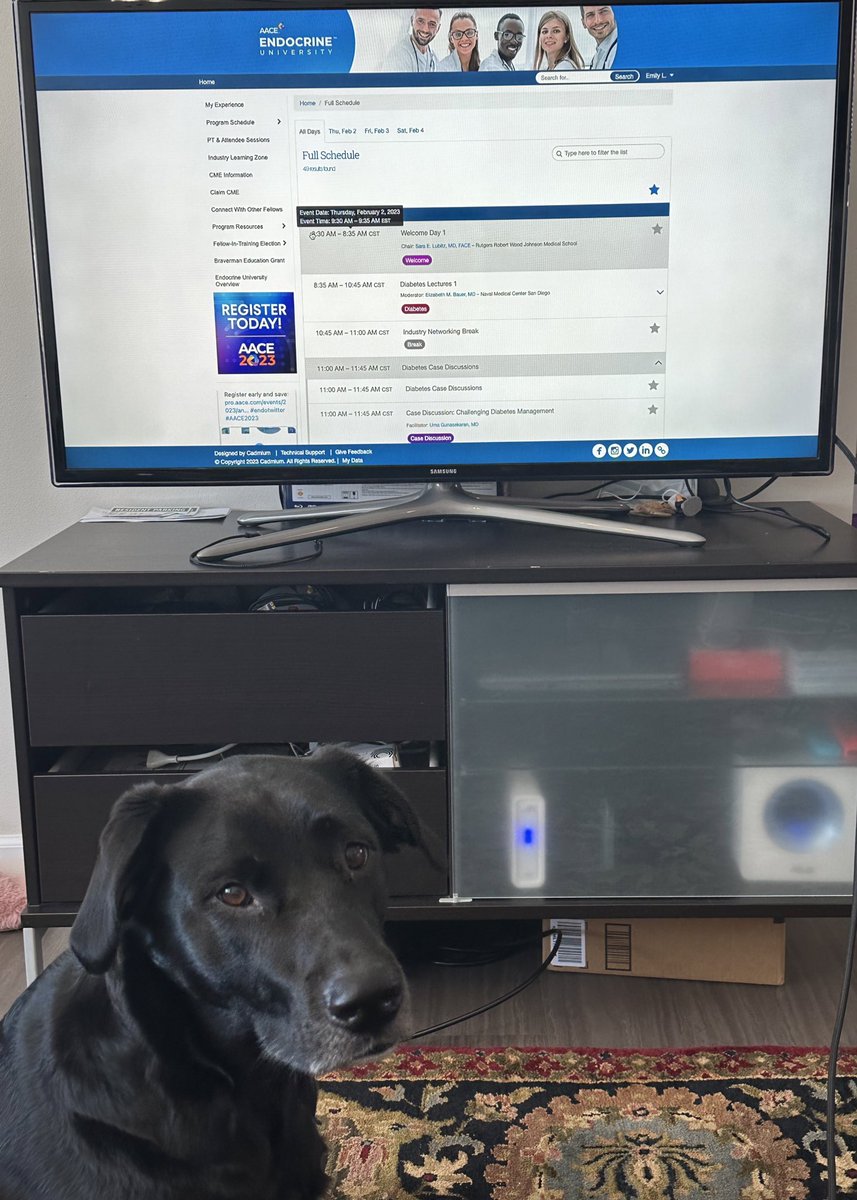 emlangnas's tweet photo. Roshi wanted to tune in to #EndocrineUniversity too! He’s looking forward to learning about osteoporosis tomorrow (he loves bones🦴🐾) @TheAACE https://t.co/l2MbqYNoBl