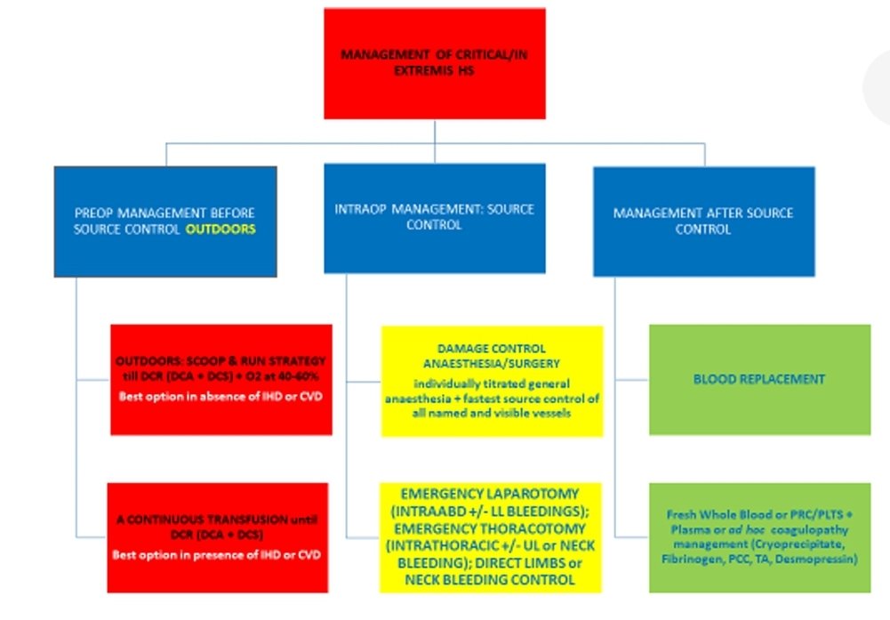 LeslieMegom's tweet photo. 🩸🩸Manejo del Choque Hemorrágico🩸 Enfoque Fisiológico, ☝️Abordaje  y Estrategias🔷️🔶️🔶️🔷️🔶️
👇👇👇👇👇
https://t.co/QxhrvKEJGZ
🗝🔓
https://t.co/KomTn2JRNQ https://t.co/GtyCPASPXE