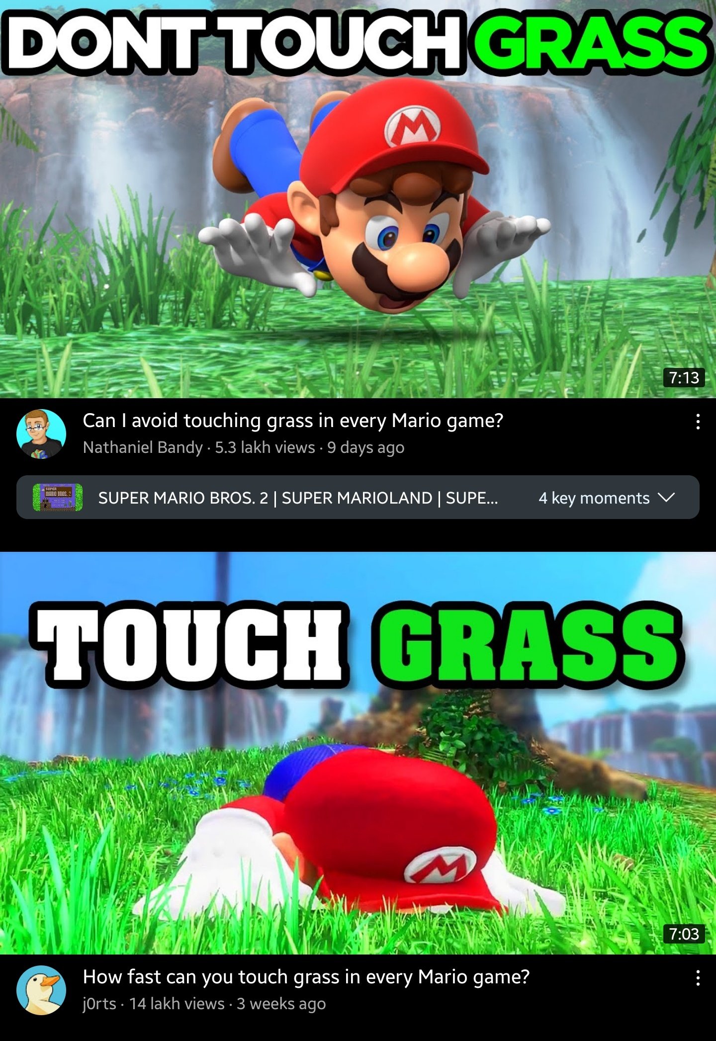 How fast can you touch grass in every Mario game?, Touch Grass