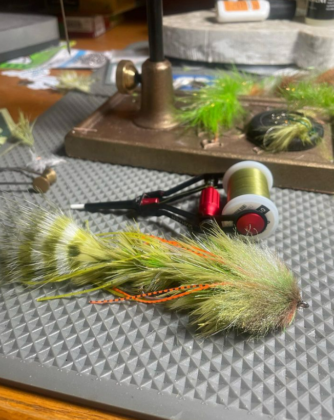 Saltwateronfly's tweet photo. Nice
@swva_flytying
Snow Day Bug 🦵
#smalljawsyndicate #gamechangerfly #streamerjunkie #smallmouth #flytying #smalliesonthefly #flyfishing #mroflies https://t.co/aCfs1coIsw