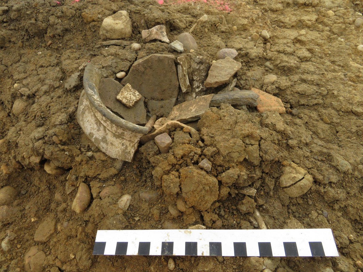 Whilst we love the clean post-excavation photos of pottery… this is a lovely find in the field at a site in Warwickshire. As you can see from the ground, it hadn’t rained yet that day. <a href="/aocarchaeology/">AOC Archaeology Group</a> <a href="/cfa_archaeology/">CFA Archaeology Ltd</a> <a href="/IACArchaeology/">IAC Archaeology</a> #Pot #Archaeology #Clay #FieldWork #Artefact