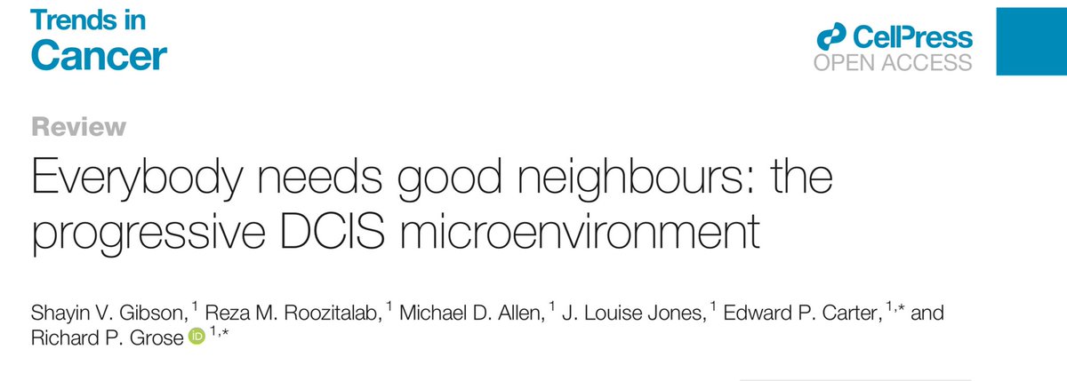 Shayin Gibson (@shayingibson) on Twitter photo Very happy to see my review out in <a href="/trendscancer/">Trends in Cancer</a> today! It highlights microenvironmental contributions to ductal carcinoma in situ progression, with an emphasis on identifying microenvironmental signatures for high-risk patients. cell.com/trends/cancer/… Very happy to see my review out in <a href="/trendscancer/">Trends in Cancer</a> today! It highlights microenvironmental contributions to ductal carcinoma in situ progression, with an emphasis on identifying microenvironmental signatures for high-risk patients. cell.com/trends/cancer/…