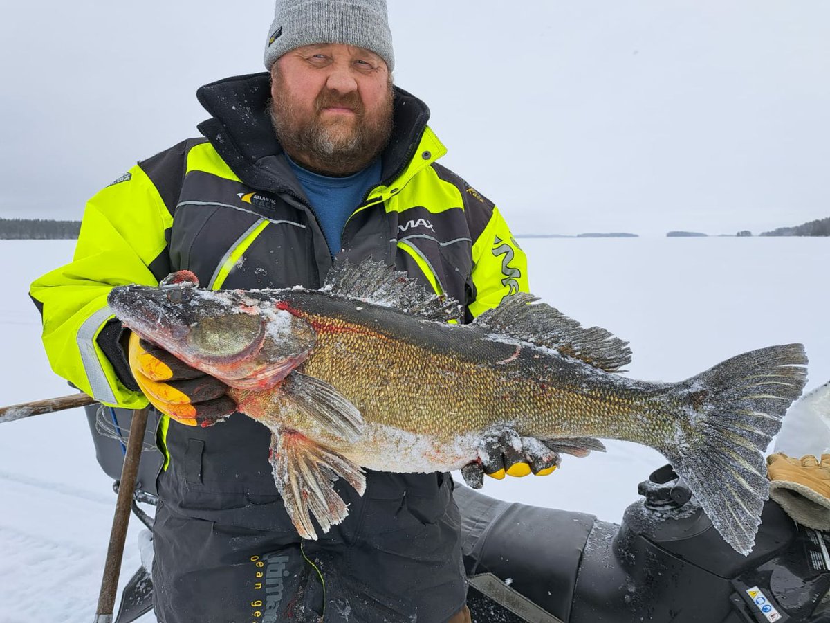 penttiknenonen1's tweet image. Pohjoiskonnevesi kuha 6.8 kg.