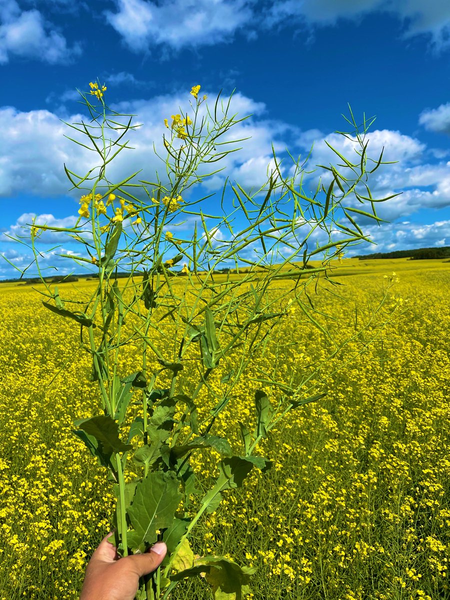 Jill Kroeger tweet media