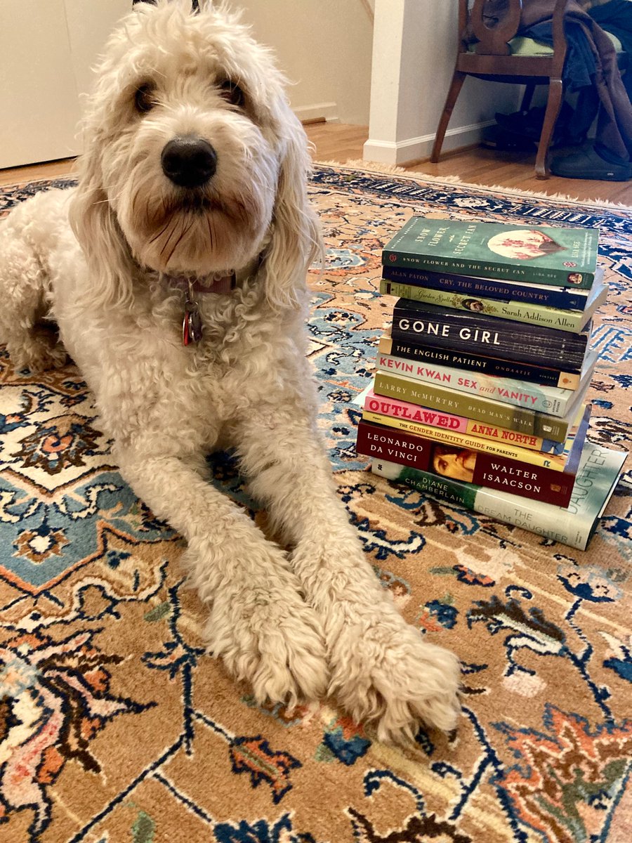 SaraStaggs's tweet photo. What does Sandy read? Not much, but her mom has a random collection of great #books next to the bed. No theme - just sharing to answer the #WhatDoIReadNext question! #WritingCommunity #readingcommunity #booktwt #BookLover #dogsandbooks ππΆ https://t.co/U02duWbE0z