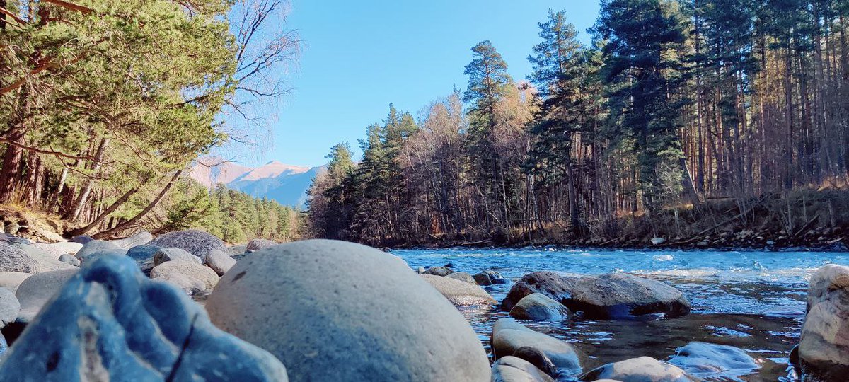 🛸 Nikole Kling (💙,🧡) tweet media