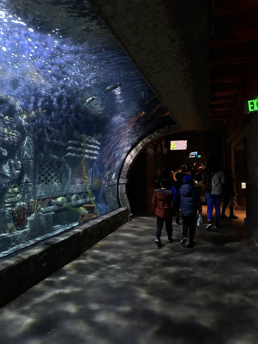 DaisyCollazo12's tweet image. Our Perfect Attendees Having a blast at the Downtown Aquarium 🐟 #Aldine #GrayElem #grayelementary #downtownaquarium