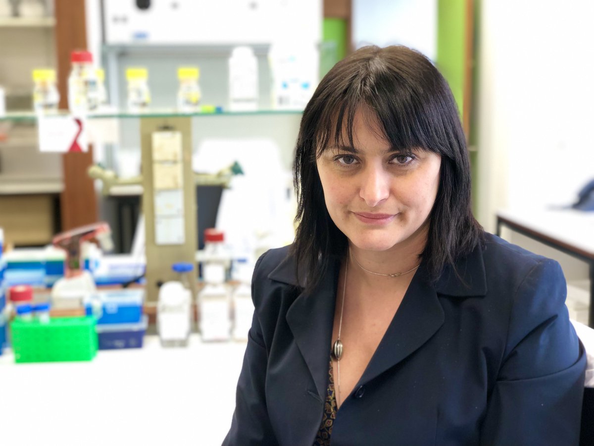 GOLD Lab tweet media