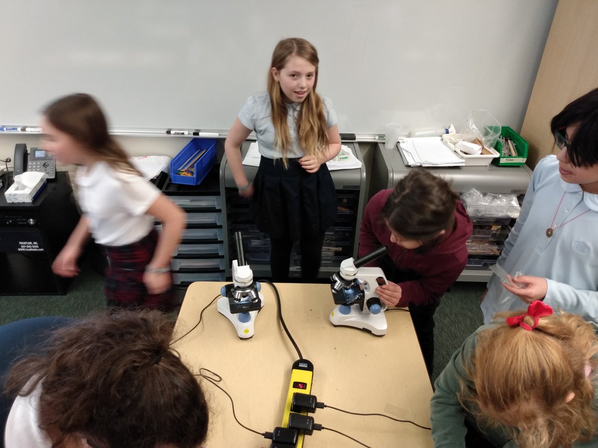 PanagiotisK tweet media