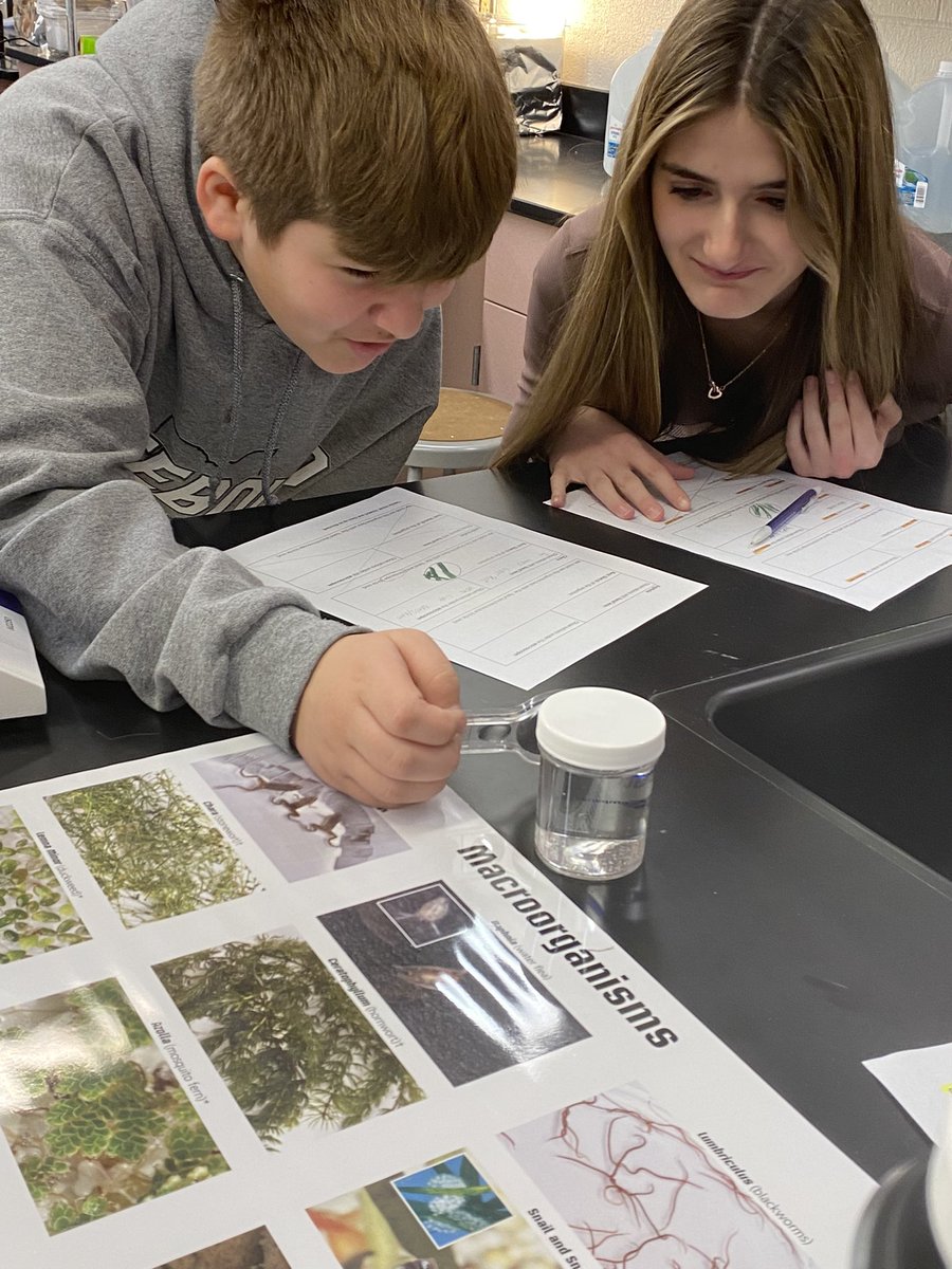 Mrs_Garman's tweet photo. Checking out our pond creatures part 1:   Chara and Dapnia #pondweek  #thereyouare #macroorganisms https://t.co/o1yUShWiKs