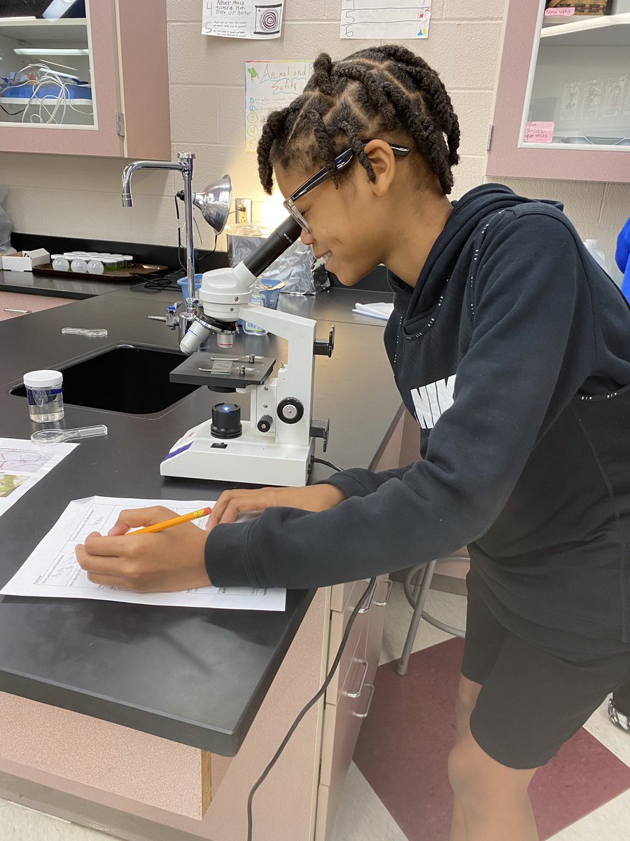 Mrs_Garman's tweet photo. Checking out our pond creatures part 1:   Chara and Dapnia #pondweek  #thereyouare #macroorganisms https://t.co/o1yUShWiKs